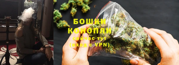 гидра Вязники
