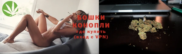 гидра Вязники
