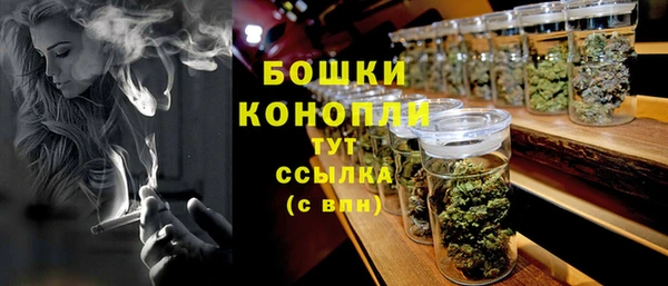 гидра Вязники