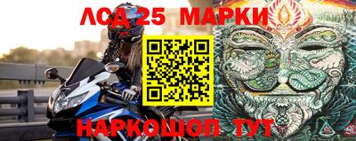 стафф Будённовск