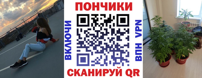 Конопля семена  что такое наркотик  гидра ссылка  Волгодонск 